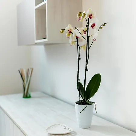 Casa Muolo * Monopoli