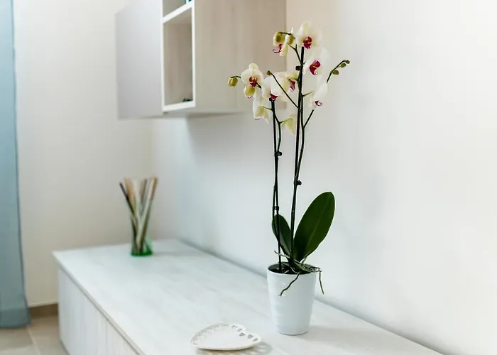 Casa Muolo * Monopoli